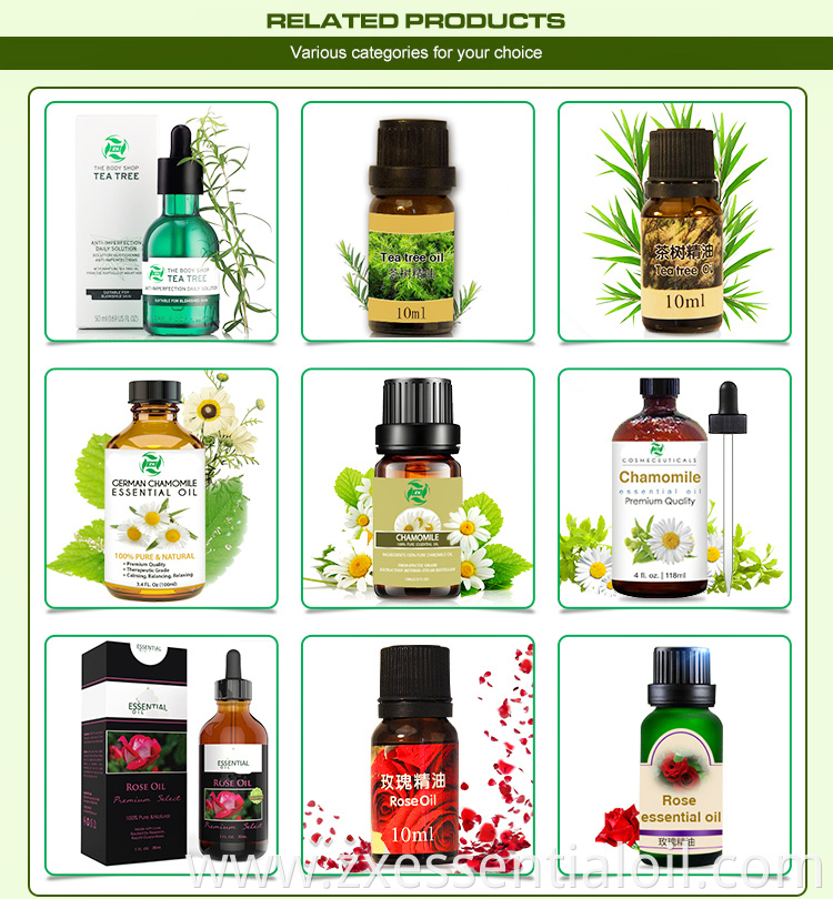 Autumn Set of 14 Premium Grade Fragrance Oils - 10ml Scents